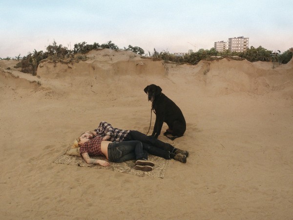 Голубь сидел на ветке, размышляя о бытии