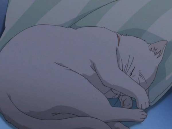 Скажи: Я люблю тебя (3)