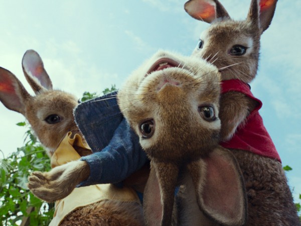 Кролик Питер (4)