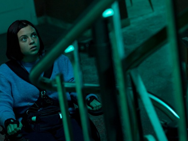 Бешенство (4)