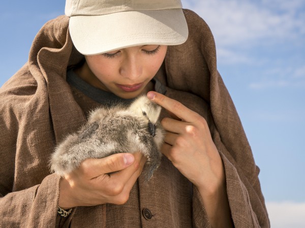 Расправь крылья (2)