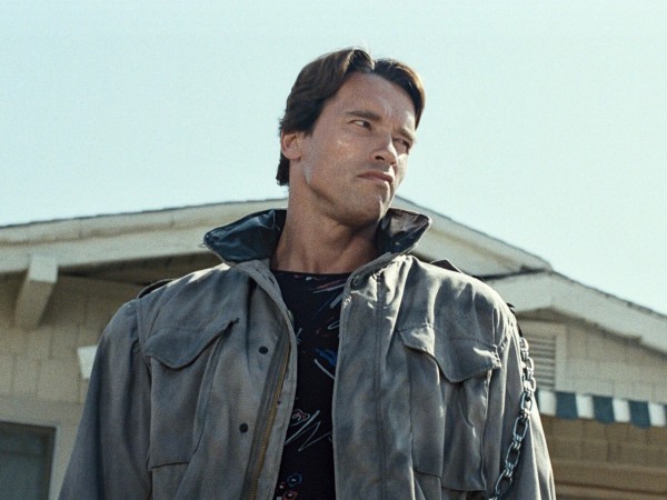 Терминатор (3)