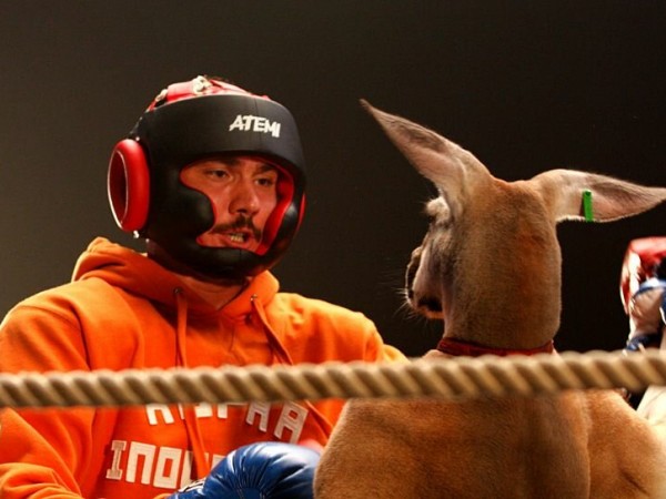 Бой с тенью-3: Последний раунд (4)