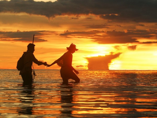 Джунгли: Переполох в Раю (4)