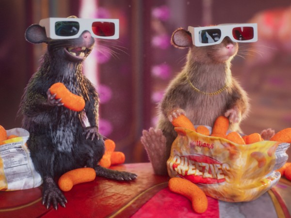 Пушистый вояж (5)