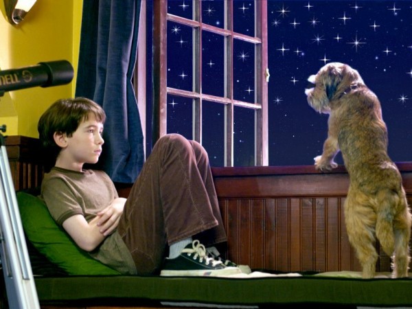 Лохматый спецназ (4)