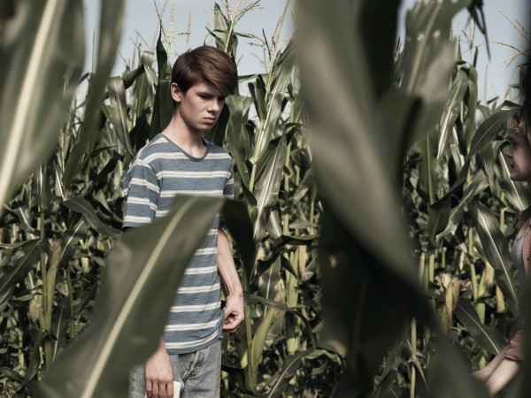 Дети кукурузы (5)