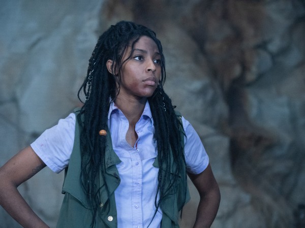 Корпоративные животные (3)