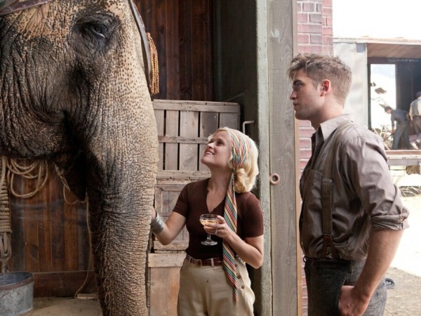 Водий слон! (4)