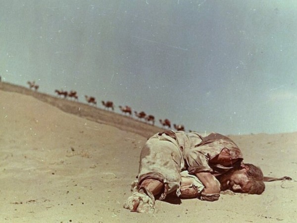 Пржевальский (3)