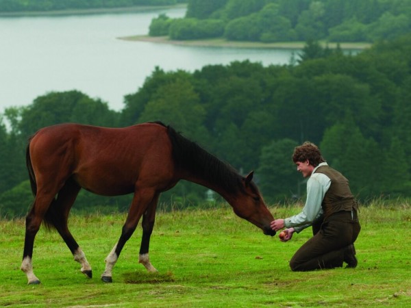 Боевой конь (6)