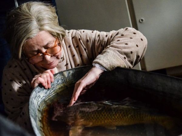 Карп отмороженный (4)