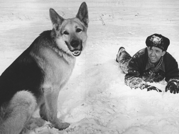 Ко мне, Мухтар! (2)