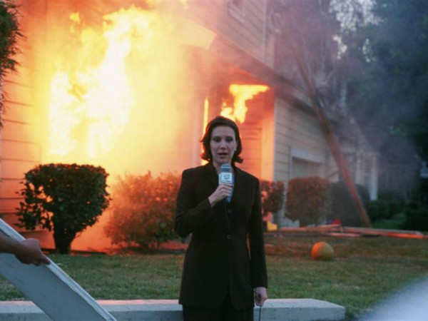 Луковые новости (5)