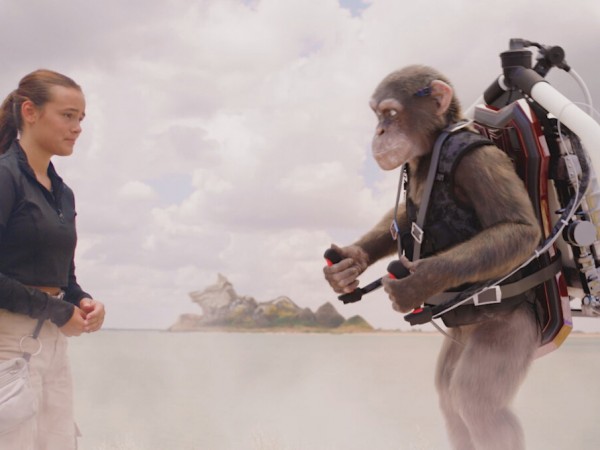 Шимпанзе под прикрытием (2)