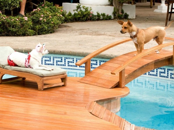 Крошка из Беверли-Хиллз (4)