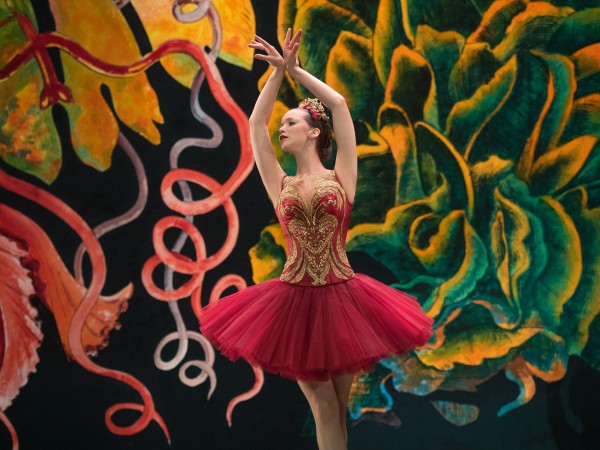 Красный воробей (2)