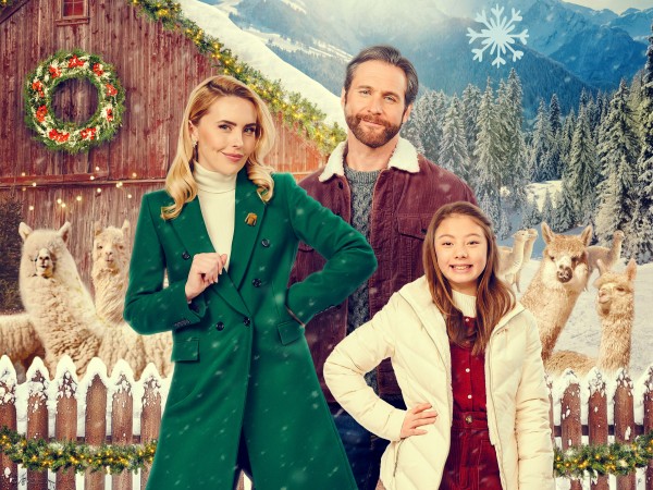 Тёплый приём на ферме альпак