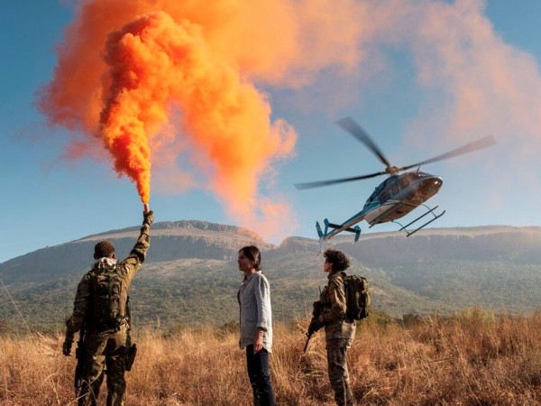 Профессионалы (4)