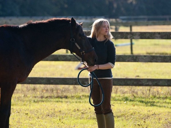 Дорогой Джон (4)