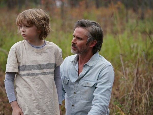 Парящий тигр (6)