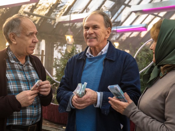 Старые шишки