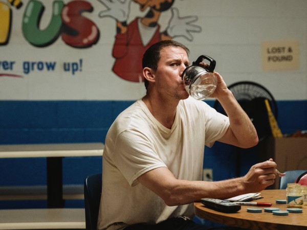 Грабитель с крыши (6)