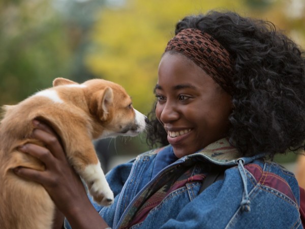 Собачья жизнь (6)