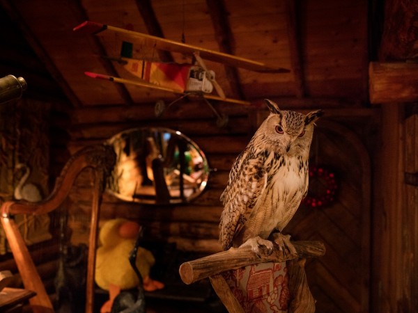 Санта и компания (2)