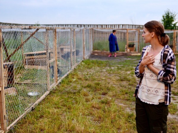 Воспитание и выгул собак и мужчин (3)