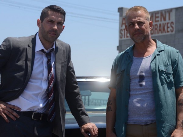 Коллекторы (6)