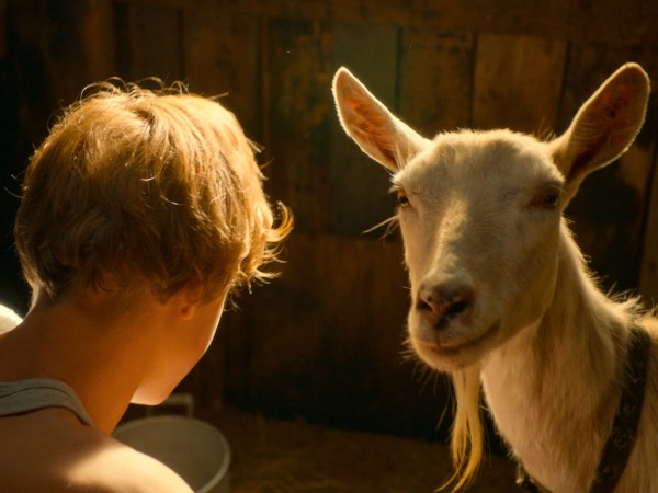 Лето. Нулевые (2)