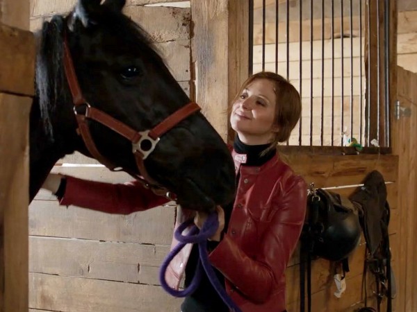 Бабочки и птицы (2)