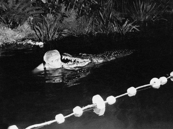 Африка зовёт (5)