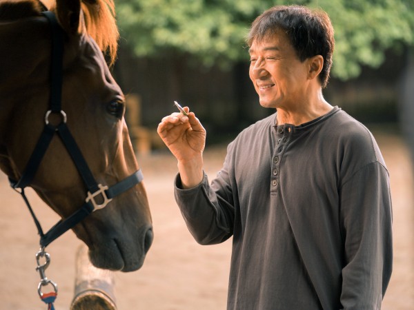 Кунг-фу жеребец