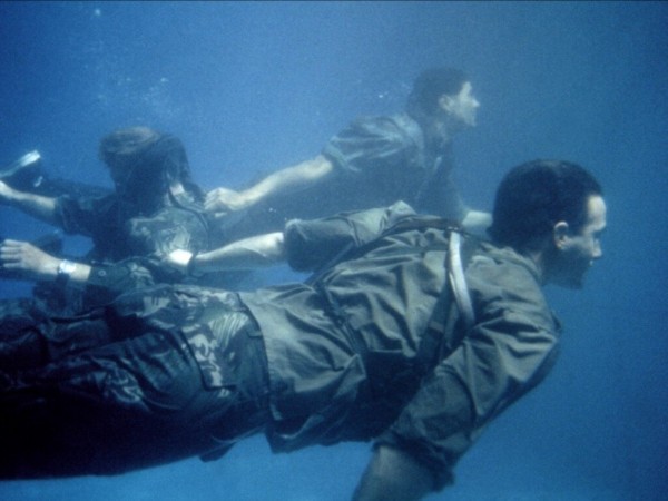 Морские котики (4)