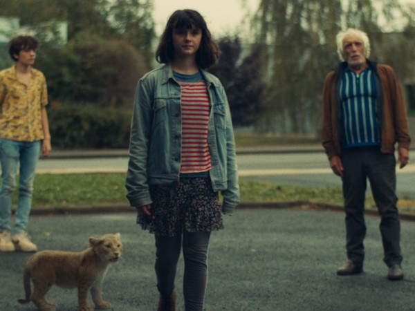 Король-львёнок (3)