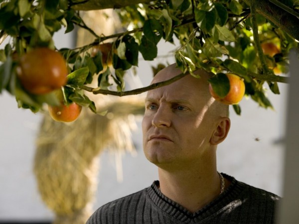 Адамовы яблоки (3)