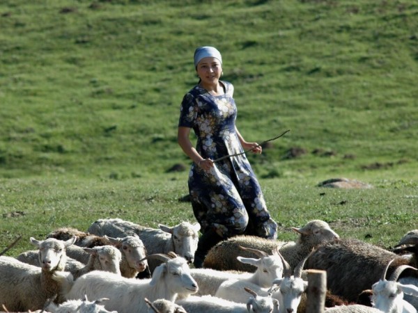 Светлая прохлада (3)