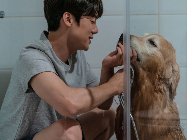 Мой пёс Руни (5)