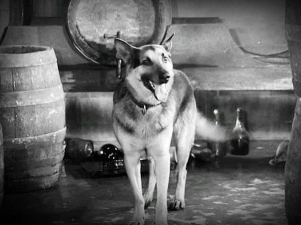 Четыре танкиста и собака (2)