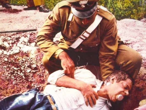 Сова появляется днём (4)