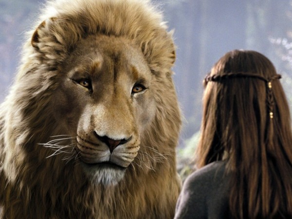 Хроники Нарнии: Принц Каспиан (6)