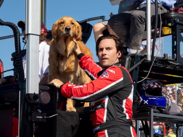 Невероятный мир глазами Энцо (3)