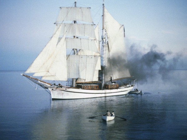 Голубая лагуна (3)