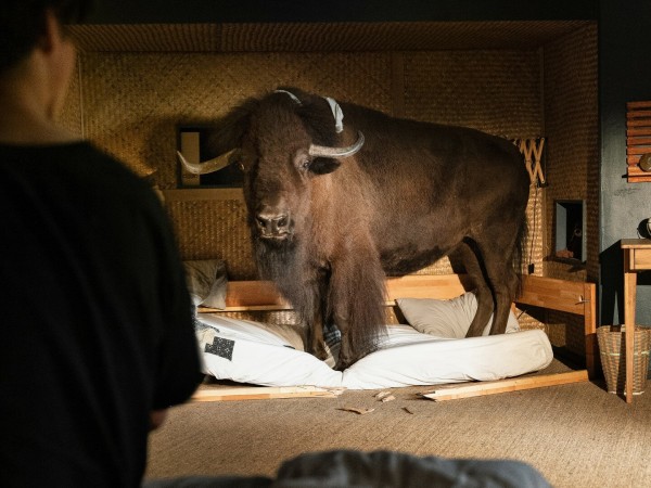 Дети леса (5)