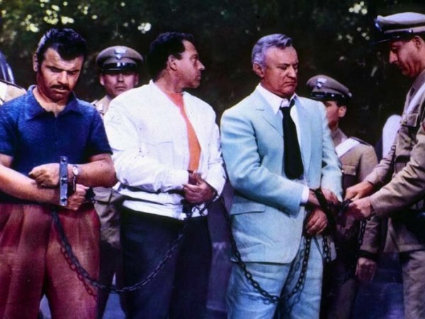 Сова появляется днём (3)