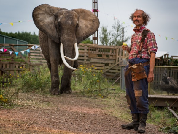 Маленькая мисс Дулиттл (2)