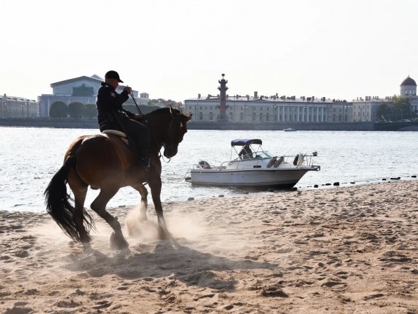 Чингачгук (2)