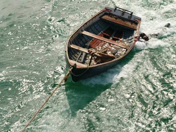 Семь пар нечистых (6)